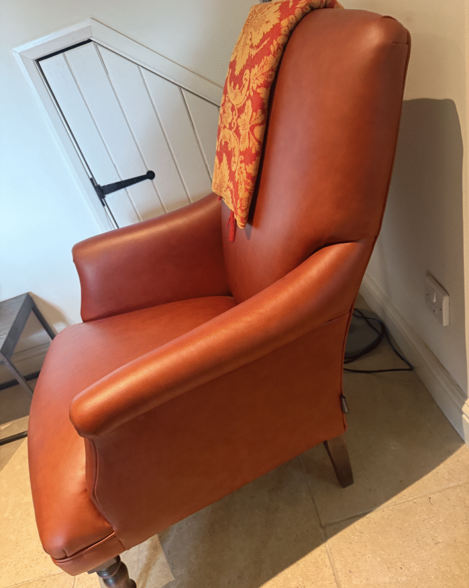 2 x Leather Snape Chairs from Sofas & Stuff